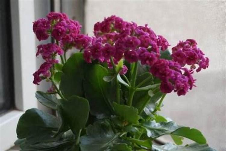 大豆收获的时候发现很多被虫子吃了,怎么回事？如何预防？