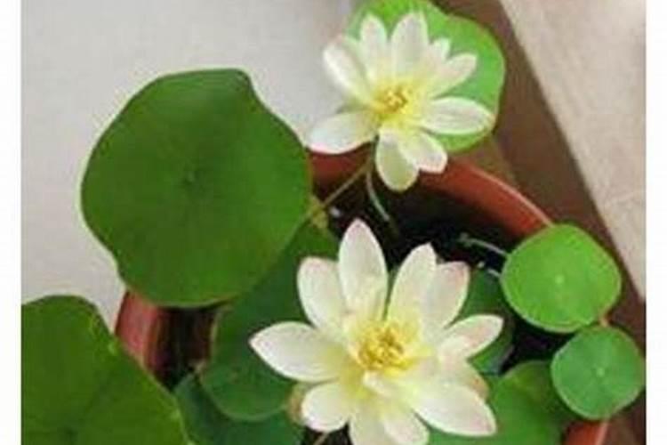 广西 矿山市、县包保责任名单