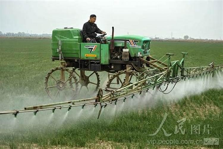 花盆换土后马上浇水吗 牡丹花花盆怎么盆栽