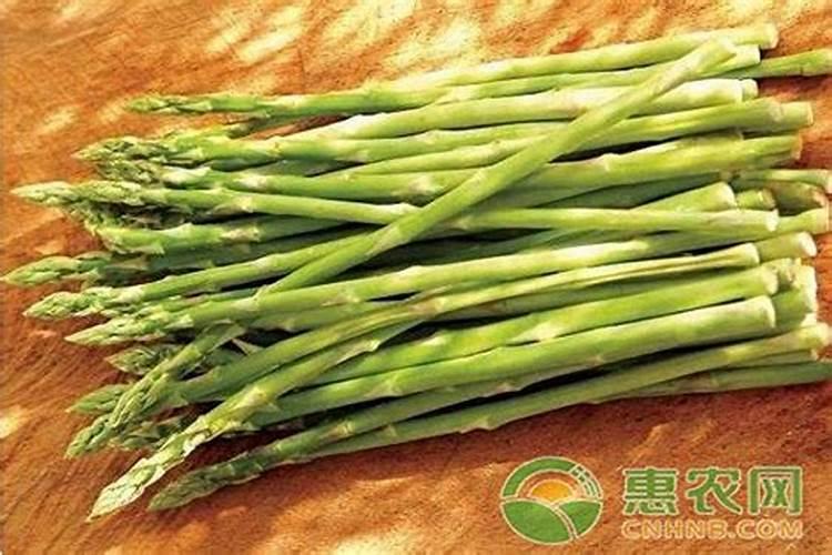 绿萝叶子发软都趴下了怎么补救