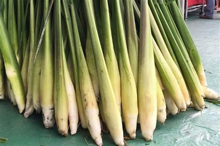 茭白施追肥为什么要掌握“前轻后重”的原则？