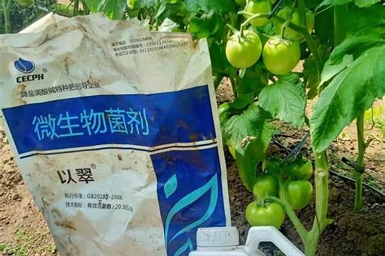西瓜施什么水溶肥？