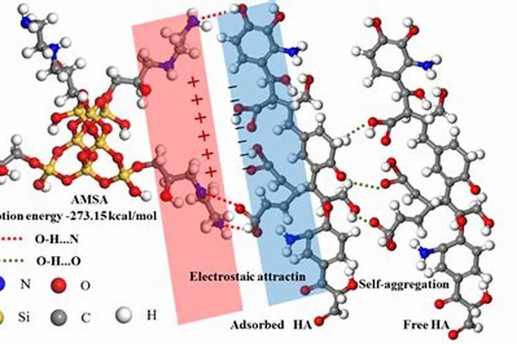 亲核试剂有哪些
