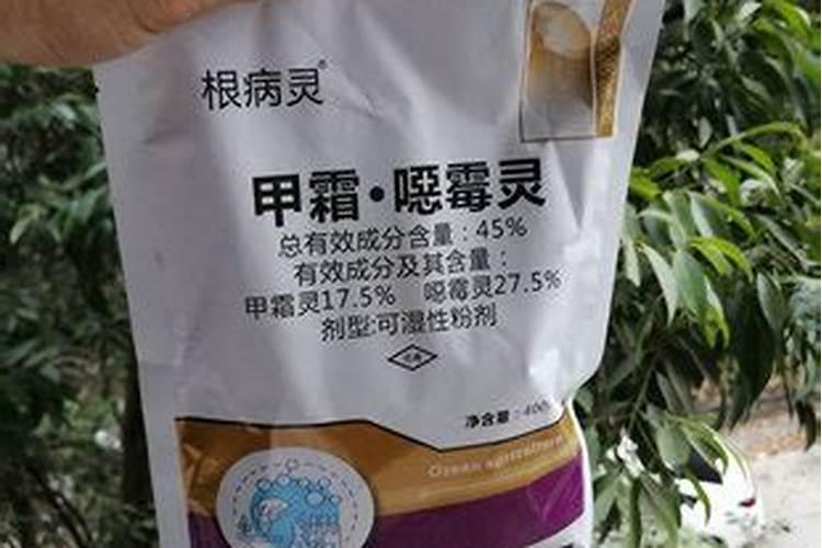 江苏地区能种打瓜吗