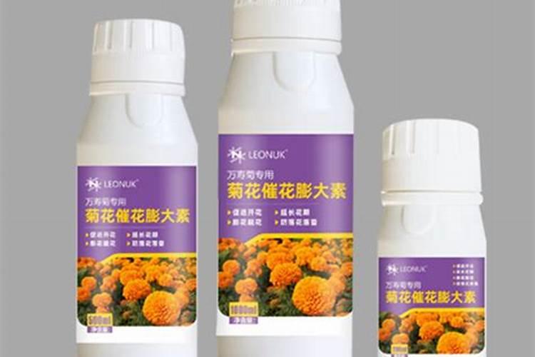 南非万寿菊花期怎么施肥