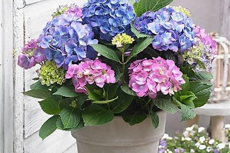 祛痘成分有哪些？