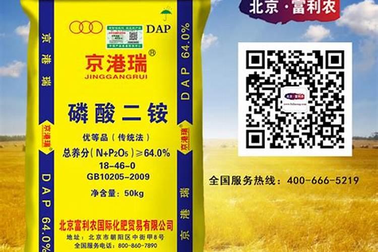 荔枝盆栽不生长为什么？