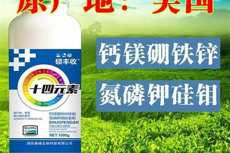 钼肥在花生上什么时使用