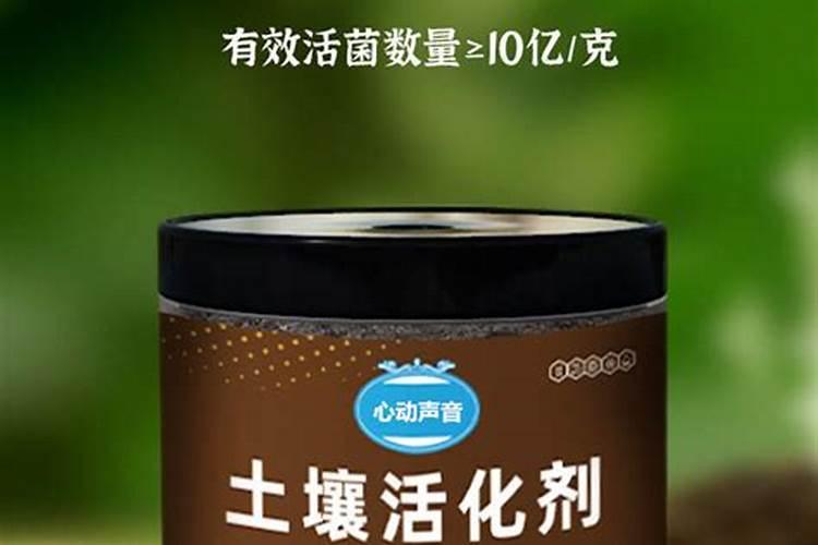石榴花用什么肥