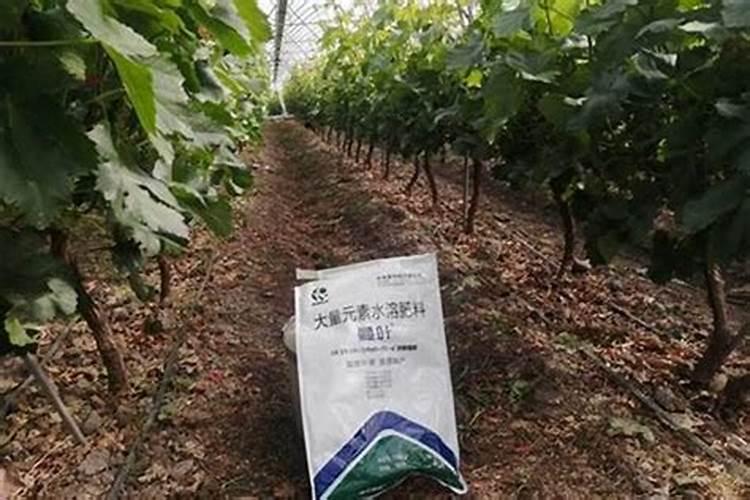 水溶肥有效期多长时间