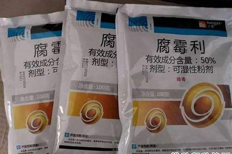 种植毛豆需要施什么肥