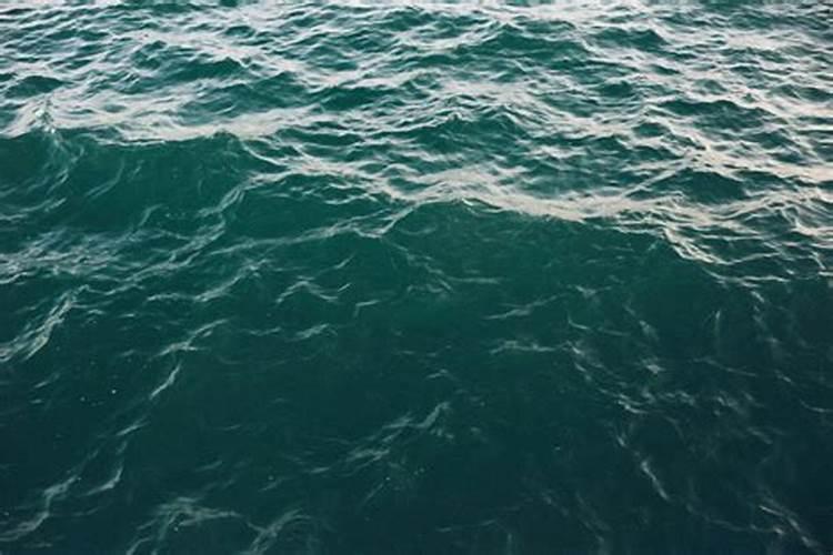 肥料检测什么项目