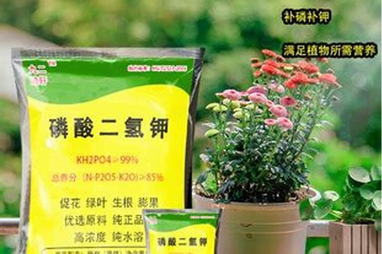 黄腐酸钾水溶肥有什么作用？主要功效是什么？