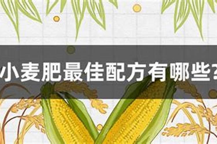 种小麦用什么肥料好