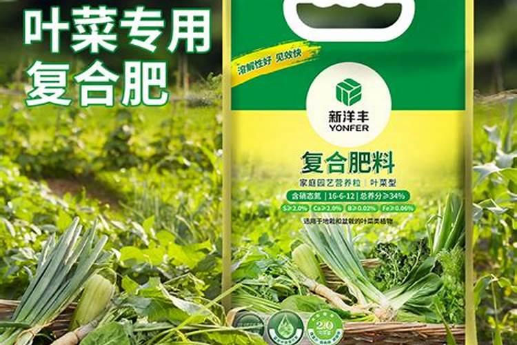 芒果用什么肥料最好