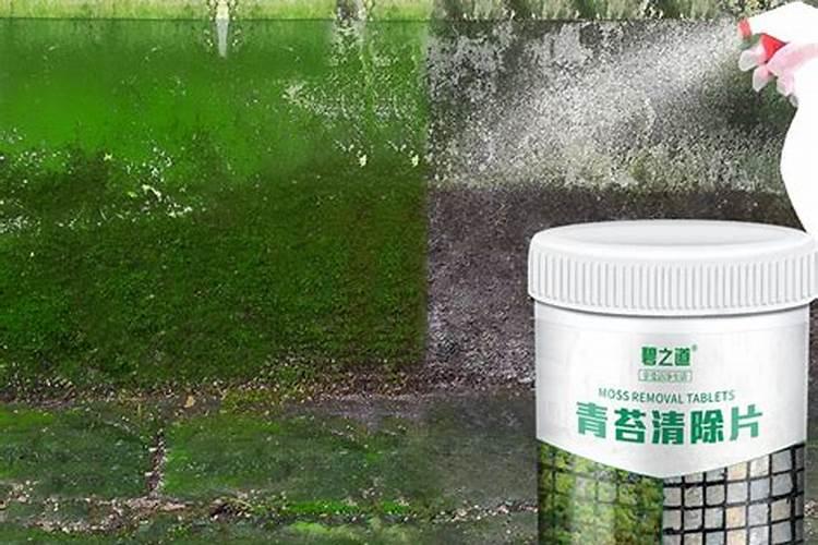 花生麸施肥几天一次？