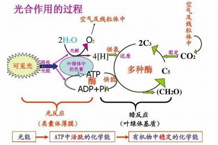 水溶冲施肥大量元素和中量元素的区别