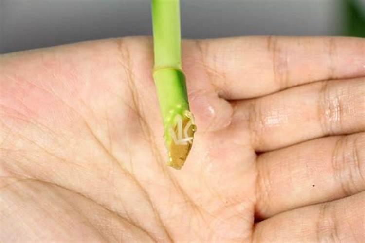 建“产业投行” 树生态品牌