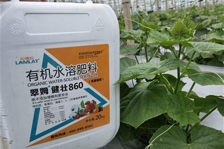 柑橘采收后喷什么叶面肥好？