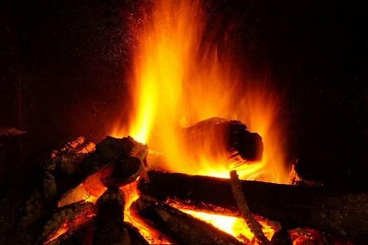 草莓结果的时候要施什么肥