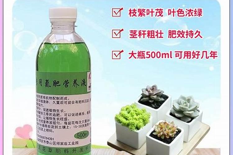 火龙果种植一亩的利润,一般在1～2万元左右