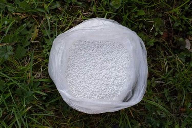 辣椒什么时候补钙最好