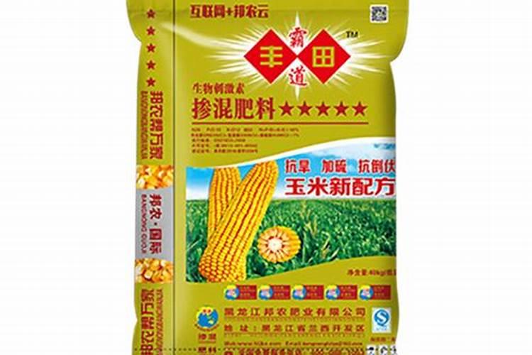 大叶招财,小叶聚财!10种叶子花,高档还能净空气,适合养家里