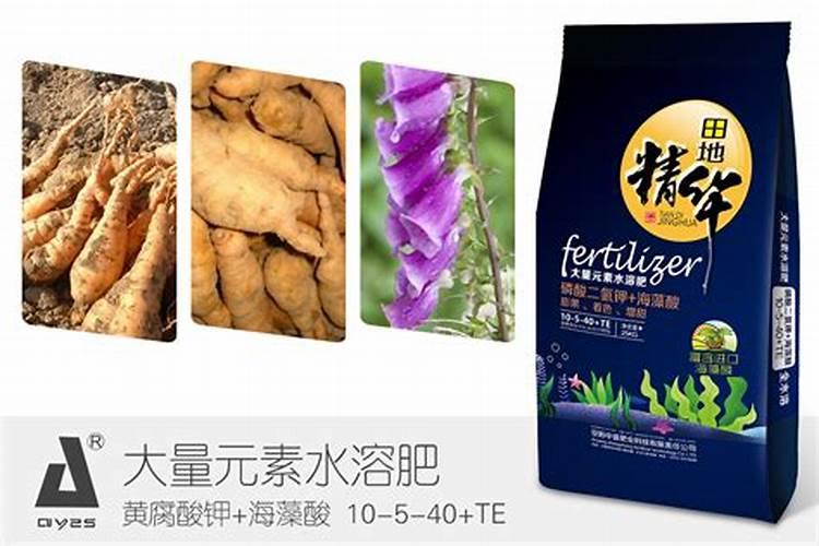 种植油菜为什么要施硼肥油菜啥时候施硼肥好
