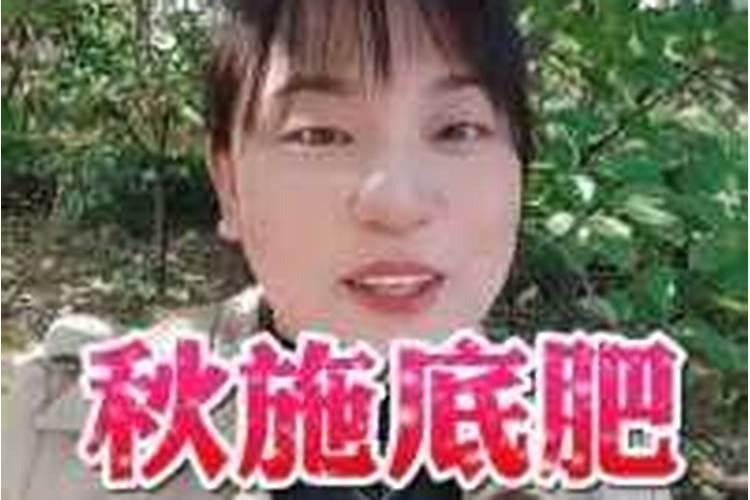多肉植物能浇鱼蛋白肥料吗？