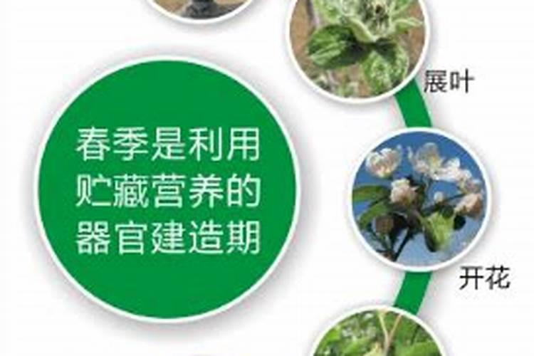 鱼蛋白不能与什么肥料混用,鱼蛋白肥料怎么制作