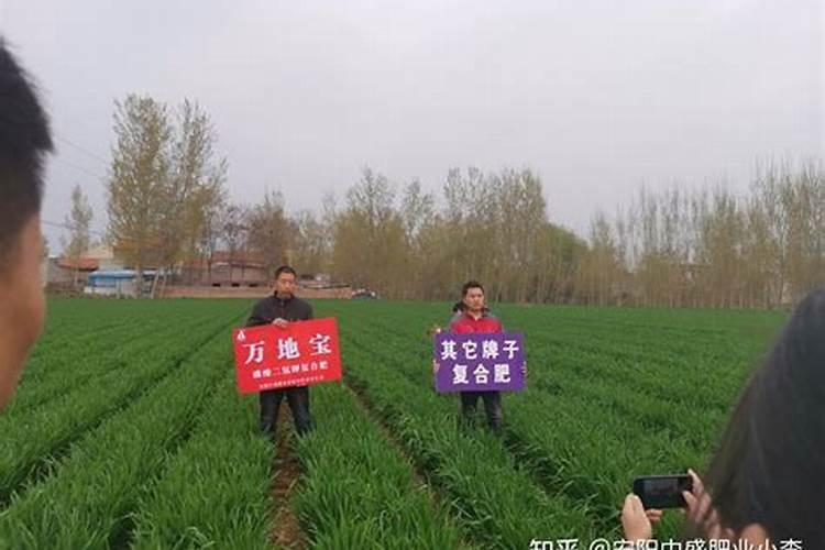 老师,天脊牌硝酸磷钾肥22.8.10做小麦底肥行吗？