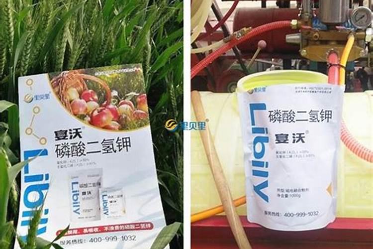 硝酸磷肥追施小麦每亩25公斤行吗‘？