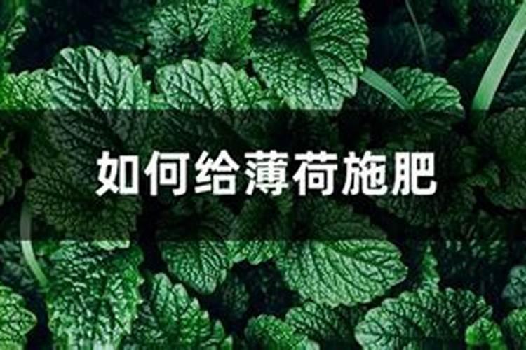 液体氮肥哪个厂家好