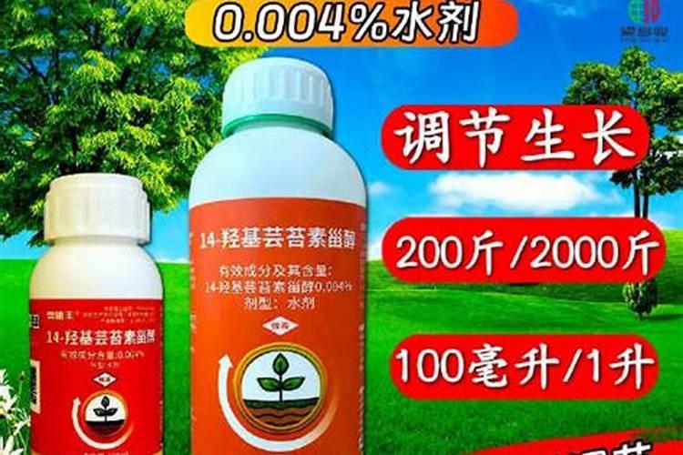 叶面肥和根部追肥有什么区别 叶面肥料可以代替根部施肥吗