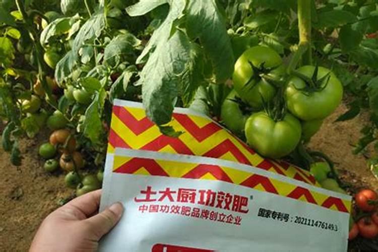 腐植酸与黄腐酸哪个肥效好？