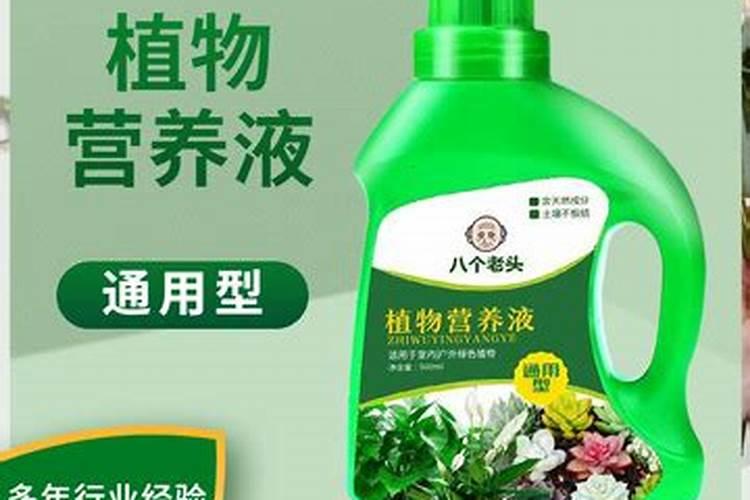三角梅可以用花多多浓缩液吗？