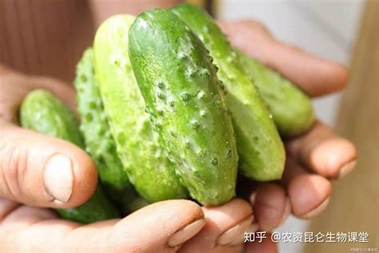 寒潮情况下家里湿气严重该如何是好？