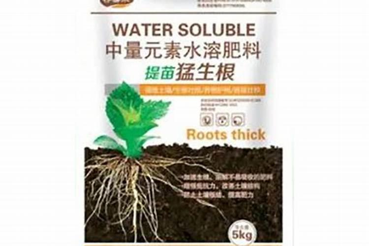 生姜提苗用什么水溶肥