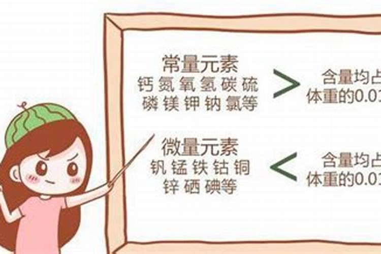 巴西木要一直泡在水里吗 巴西木要泡在水里吗