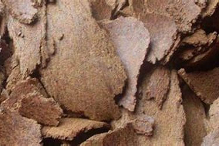 多肉带锦是什么意思？