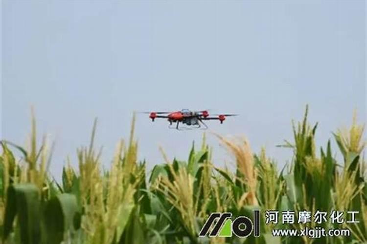 大蒜专用肥中,喜满地的生根效果怎么样？