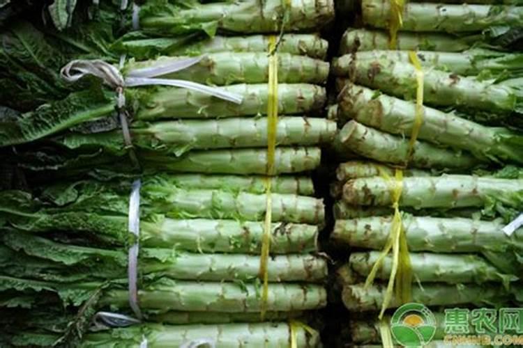 让莴笋长得粗壮高大要用什么肥料