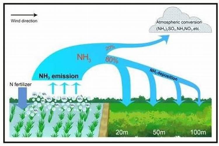 水田地用硫酸钾肥好还是氯化钾肥好