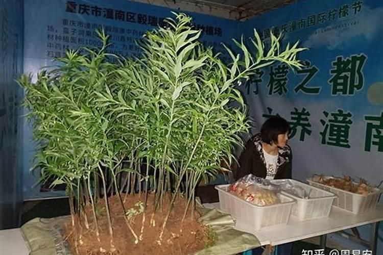 硼同位素测量