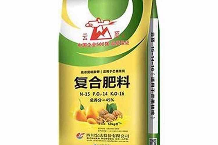 兰花喷叶面肥和浇水需要注意些什么