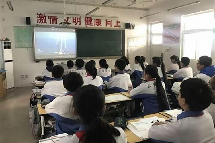 雏菊籽批发基地在哪里 种植方法