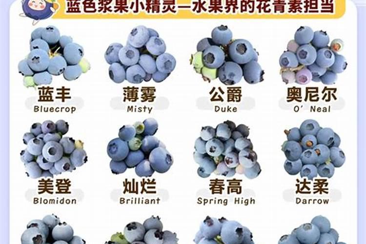 钾肥的作用及功能是什么