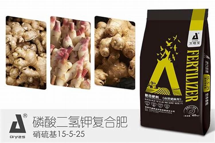 种白菜用什么肥料最好