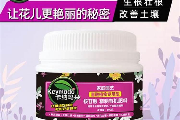 茉莉花施什么肥开花多