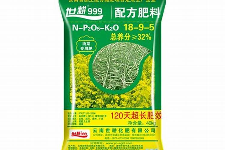 高收油菜高产王用法